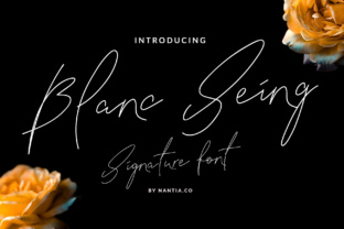 Blanc Seing: A Signature Font for Polished Branding
