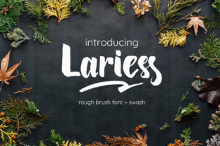 Lariess: A Hand-Made Brush Font That Sharpens Campaign Messaging