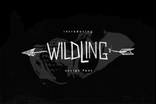 Wildwildling in Web Design: Testing a Casual Script Font for Digital Branding